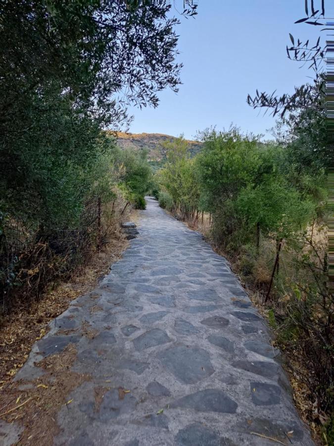 Casa El Canton Jimera de Líbar Dış mekan fotoğraf