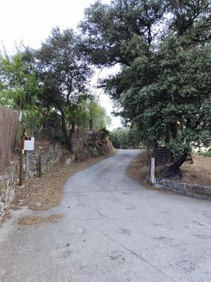 Casa El Canton Jimera de Líbar Dış mekan fotoğraf