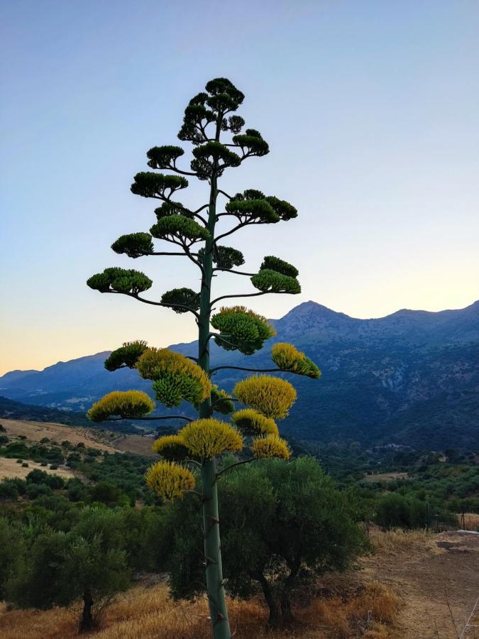 Casa El Canton Jimera de Líbar Dış mekan fotoğraf