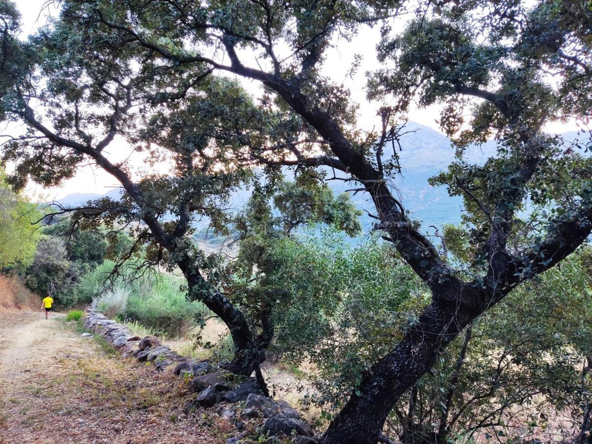 Casa El Canton Jimera de Líbar Dış mekan fotoğraf