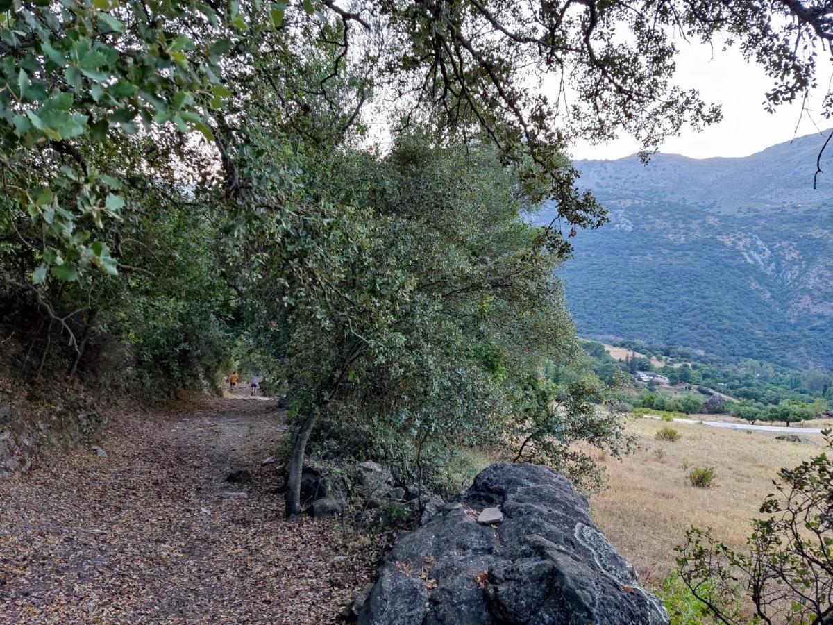 Casa El Canton Jimera de Líbar Dış mekan fotoğraf